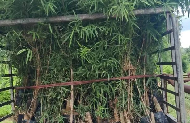 WhatsApp-Image-2025-09-20-at-09.07.58