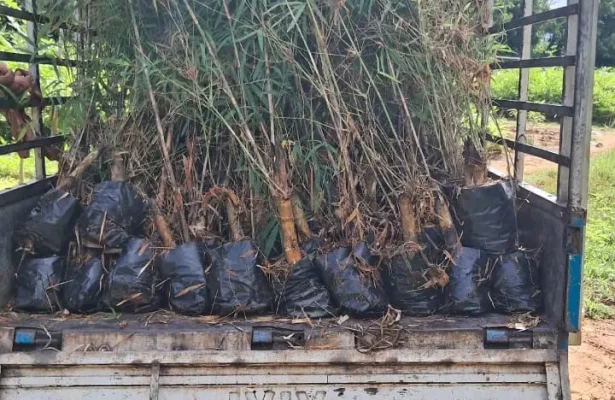 WhatsApp-Image-2025-09-20-at-09.08.00